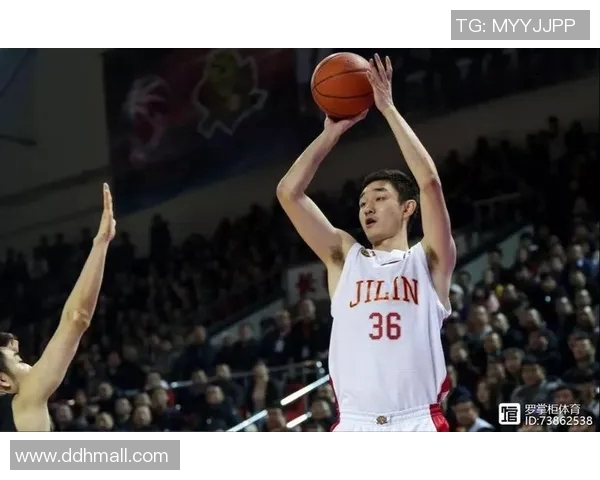 代怀博的成长之路：从学术新星到行业领军人物的蜕变与挑战